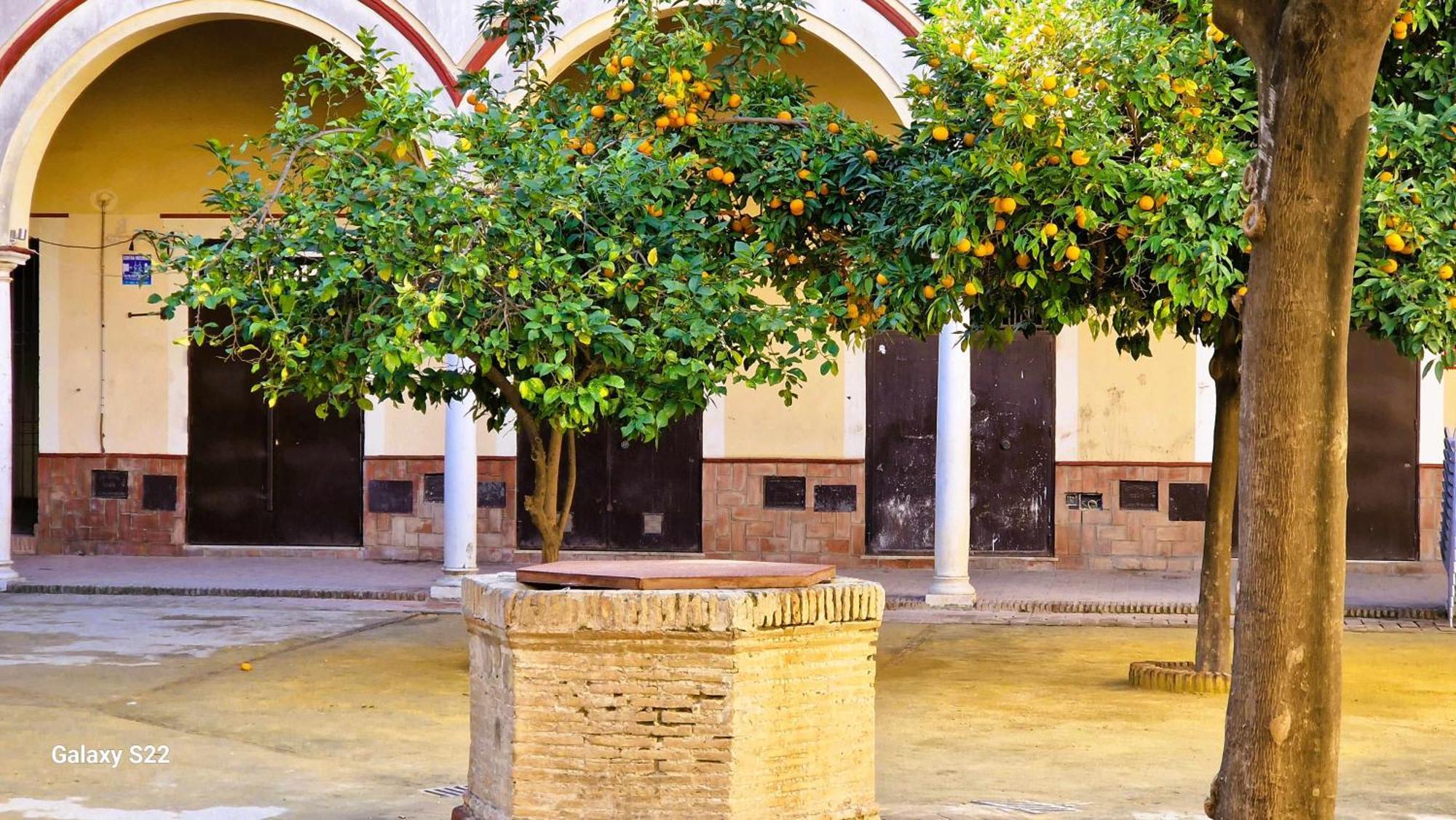 Residencial Victoria Centro Apartman Sanlúcar de Barrameda Kültér fotó